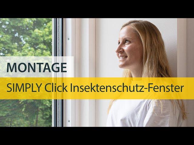 Insektenschutz-Fenster SIMPLY Click Komplett-Set - schnell montiert, einfach kleben