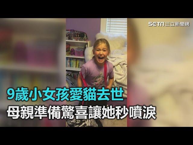 9歲小女孩愛貓去世　母親準備驚喜讓她秒噴淚｜三立新聞網SETN.com