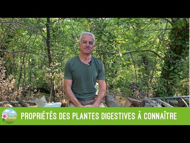Propriétés des plantes digestives : toniques, carminatives, antispasmodiques, prébiotiques, etc.
