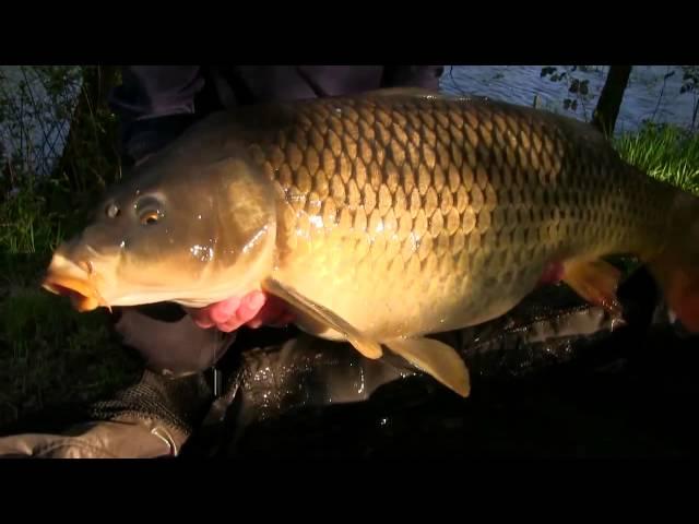 Carl And Alex Go Carp Fishing in France FULL VERSION