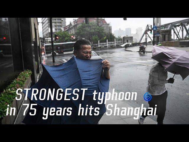 China's mega city of Shanghai hit by Typhoon Bebinca, the biggest storm in seven decades