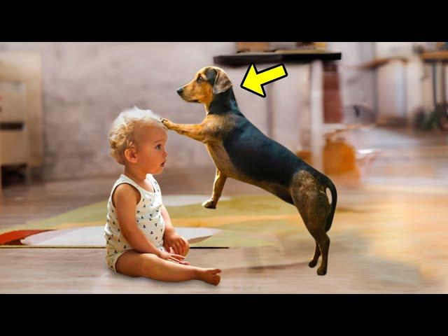 The Child Was Paralyzed. Look What The Dog Did, It's A Miracle!