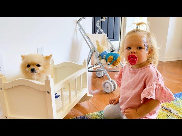 Maggie and little sister ague about puppy - new best series for kids