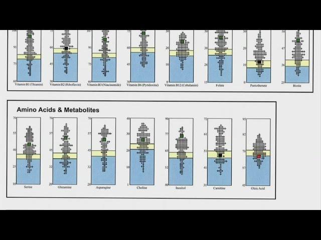 Micronutrient Testing