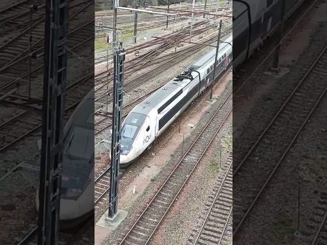 A lonely TGV?                    #train #tgv #poitiers