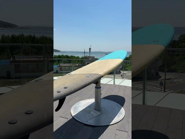 카페추천 6월카페 데이지 홍성카페 비츠 #서울근교데이트 #여행 #봄소풍 #카페