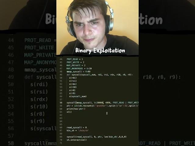 Binary Exploitation vs. Web Security