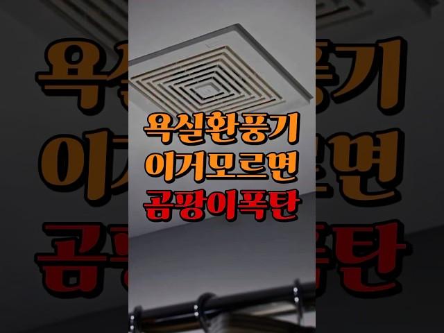 욕실환풍기 이거 모르면 곰팡이 폭탄입니다 #인테리어 #곰팡이