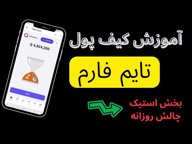 آموزش کیف پول تایم فارم | بخش استیک تایم فارم | چالش تاریخ تایم فارم