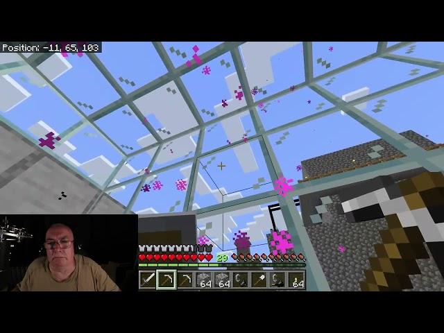 ASMR Another Nether Disaster Recovery