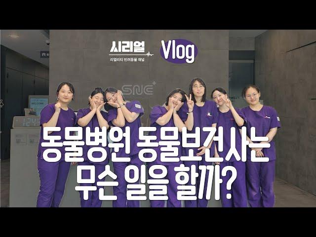 [SNC] 테크니션팀 Vlog  동물병원 동물보건사는 무슨 일을 할까?