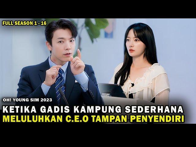 KETIKA GADIS KAMPUNG SEDERHANA, MELULUHKAN C.E.O TAMPAN PENYENDIRI, Alur Cerita Drama Film Korea