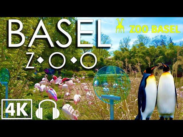 BASEL ZOO Tour: Best Zoo in Switzerland | Walking Tour 4K