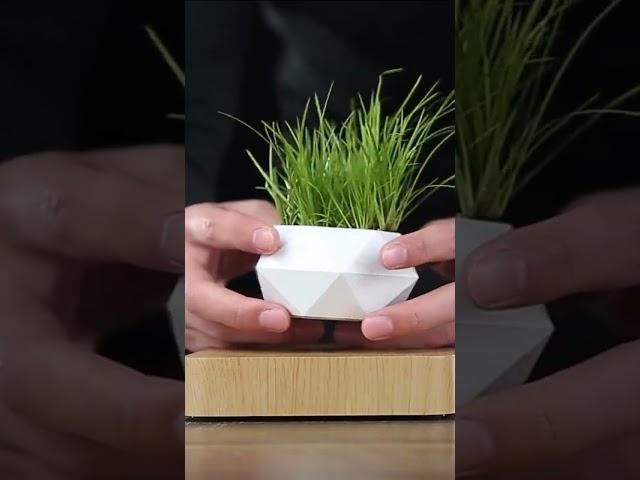 The Levitating Floating Plant Pot | Trendy Goods Gadgets | #shorts #trendygadgets #2024