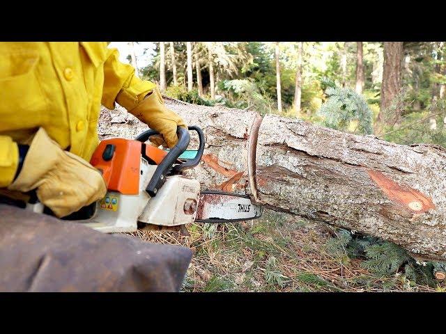 This Technique Could Save Your Chainsaw