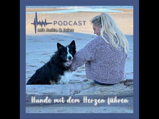 #2 Die "alte Schule" des Umgangs mit Hunden