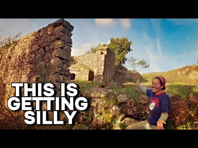 We waited a long time for this. Clearing around the Bakery. Off Grid in Central Portugal