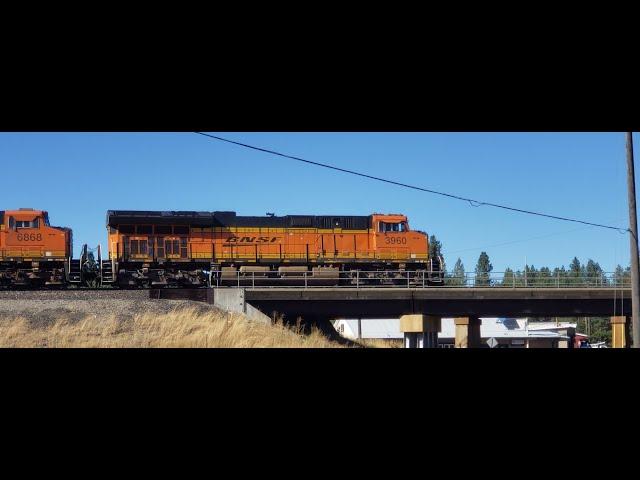 Railfan Liberty Lake August