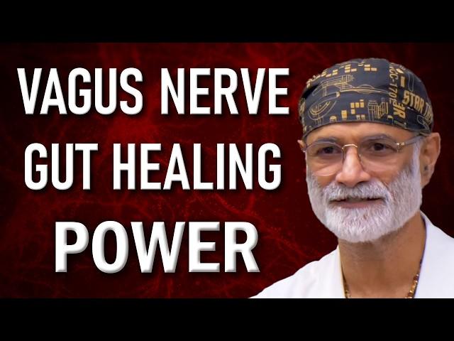 How the Vagus Nerve Heals Your Gut: The Key to Digestive Health and Healing