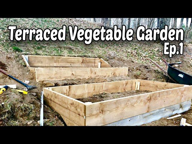 How to Make Terraced Raised Beds for Vegetable Gardening - E.1
