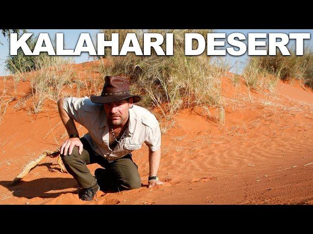 Survivorman  Kalahari Desert | Namibia | Les Stroud | GLITCHES FIXED!