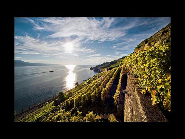 Humoriste Suisse canton de Vaud partie 2.