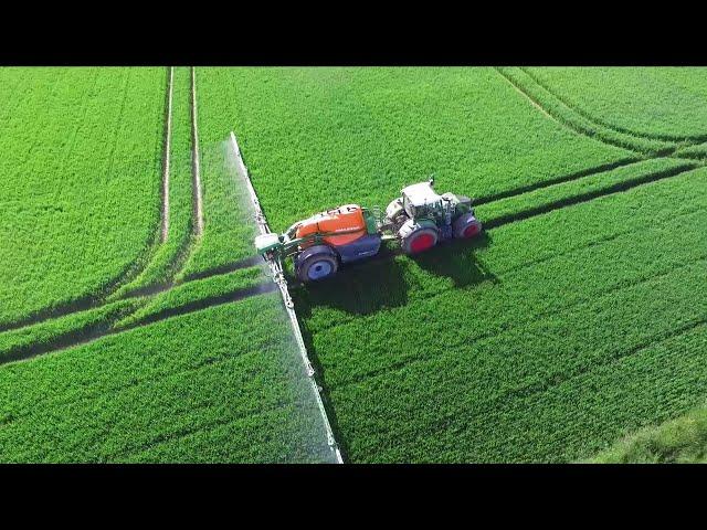 Fendt 718 Vario mit Amazone UX 5201 Super beim Weizen spritzen