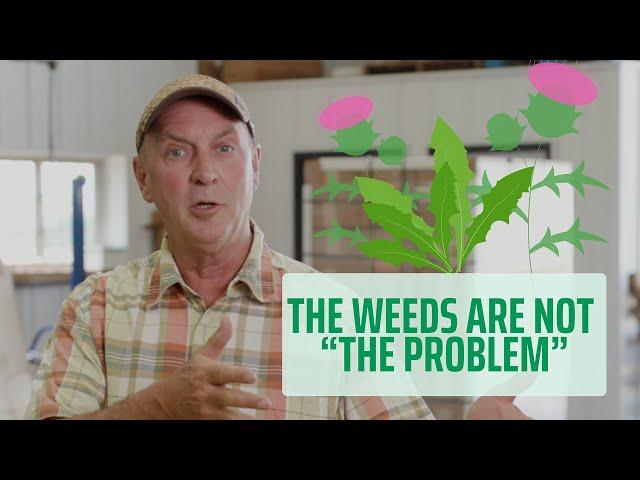 Weeds are NOT "The Problem"