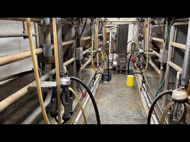 Dairy Farm Parlor Tour - Double 3 Side Opening Tandem