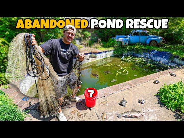 Saving FISH & TURTLES from ABANDONED Backyard POOL!!