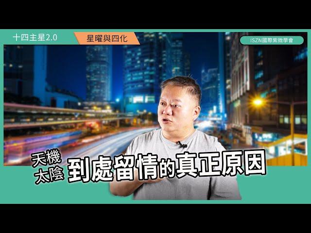十四主星曜四化2.0 |天機篇-太陰組合在夫妻宮遇上的愛恨情仇►國際紫微學會&大耕老師◄請開字幕