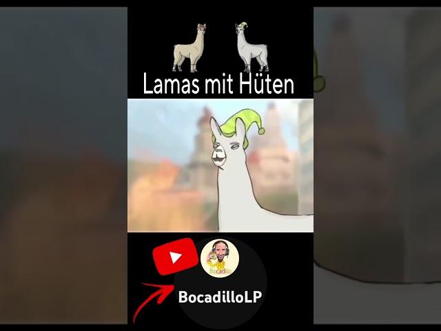 Entspannter Urlaub mit Karl #lamasmithüten #lamaswithhats #funny #haha #caaaarl #youtube #lamas