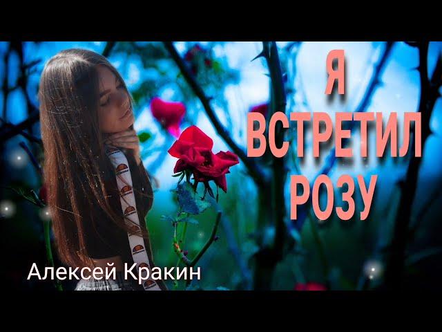 Алексей Кракин - Я ВСТРЕТИЛ РОЗУ (дворовая песня)