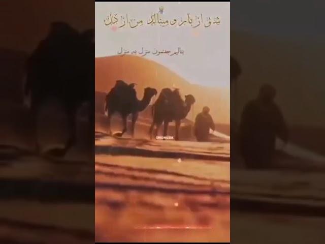 جنوب کرمان  منوجان