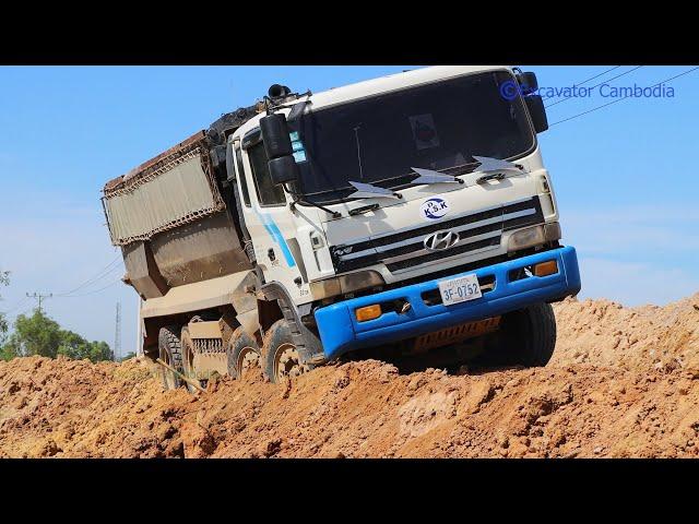 Mini bulldozer pull hyundai dump truck stuck