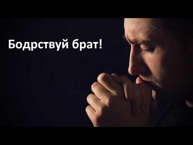 БОДРСТВУЙ БРАТ/Сергей Адамчук