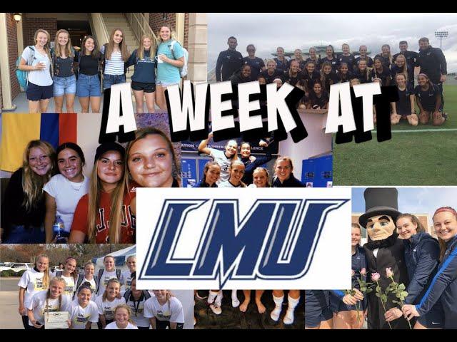 A week in my life at LMU!  Lincoln Memorial University  week vlog