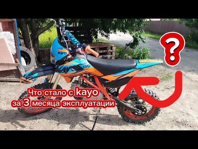 что стало с kayo evolution за 3 месяца эксплуатации?