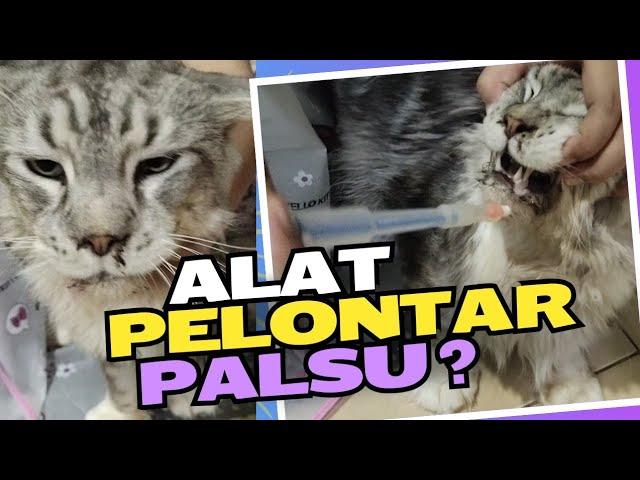 cara ngasih obat kapsul ke kucing kok susah ya, alat pelontar obatnya palsu kah?