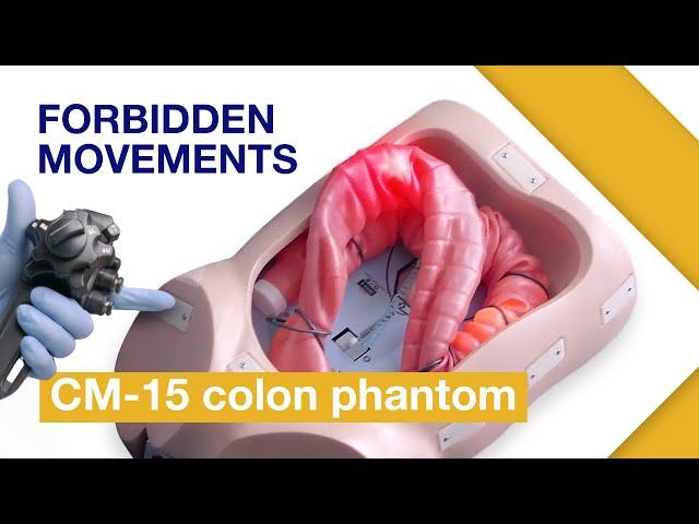 How to Avoid Common Mistakes During Insertion in Colonoscopy (Using the Olympus CM-15 Colon Phantom)