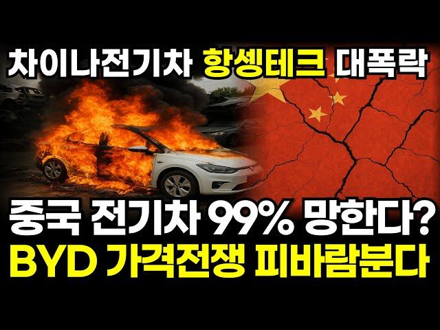 중국 전기차 99%가 망하게 생겼다. BYD 가격전쟁 시장 갈아 엎친다. 차이나전기차 차이나테크탑10 항셍테크 대폭락, 엔비디아 테슬라 샤오미 꽌시유 (존버나드 지식자랑)
