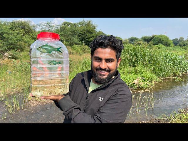 Tushar Bhai Ka Pura Farm Hamne Le Liya #fishfarm