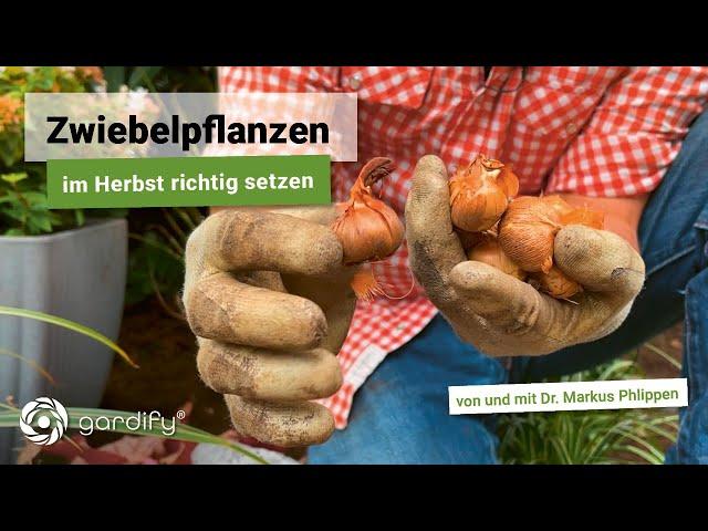 So pflanzt du Zwiebelpflanzen richtig: 3 wertvolle Tipps für eine prächtige Blüte!