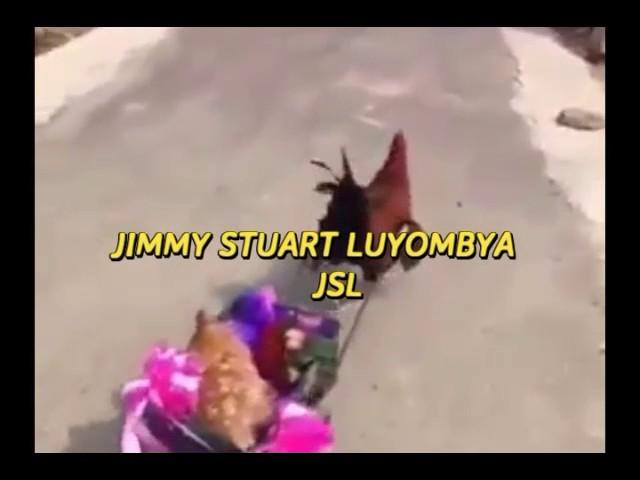 JIMMY STUART LUYOMBYA 111