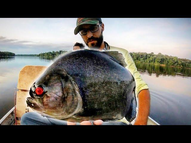 MONSTER PIRANHA FISHING in the AMAZON!!