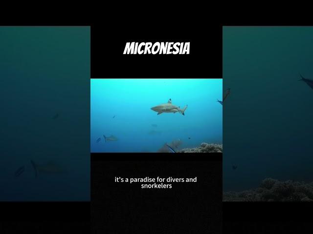 Micronesia Marvels: A Pacific Paradise