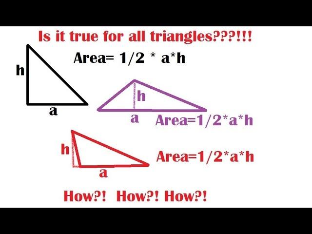 Proof of the area of any triangle is 1/2*base*height