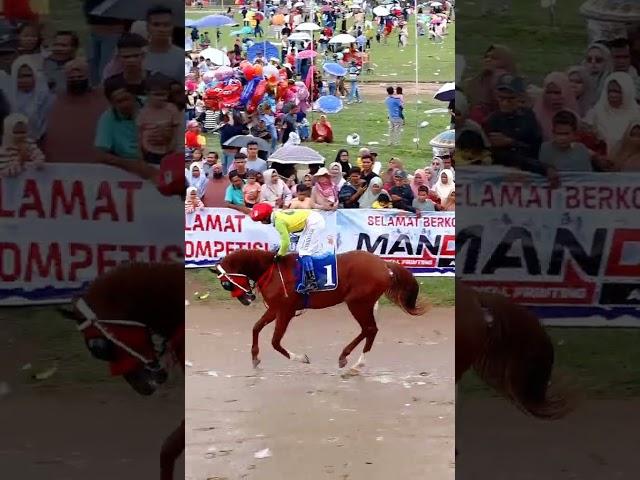 Pacu kuda #horse #pacuankudaindonesia #horseracing