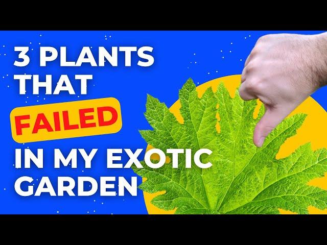 3 plants that FAILED in my UK exotic garden this year