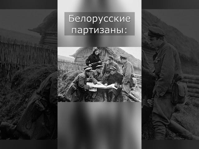 Про белорусских партизан #вов #война #россия #ссср #беларусь #украина #германия #партизаны #партизан